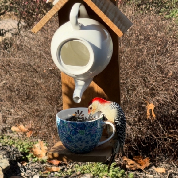 Rustic Wooden Handmade Bird Feeder Crazy Cat Lady - Picture 12 of 16